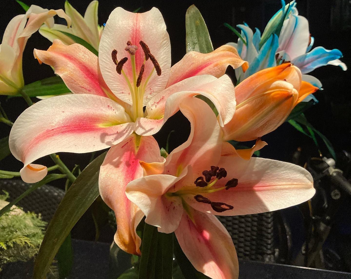 je9DVSI6sPGIzZVzfrV2hmw7VsIm9TRqGazDUwwG